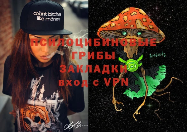 мдма Богородицк