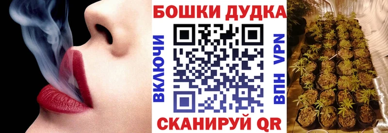 как найти Дмитров Каннабис сатива